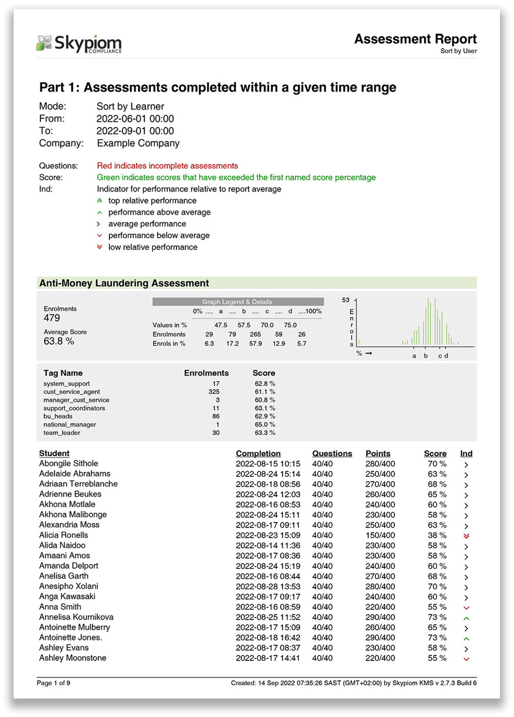 Skypiom assessment report
